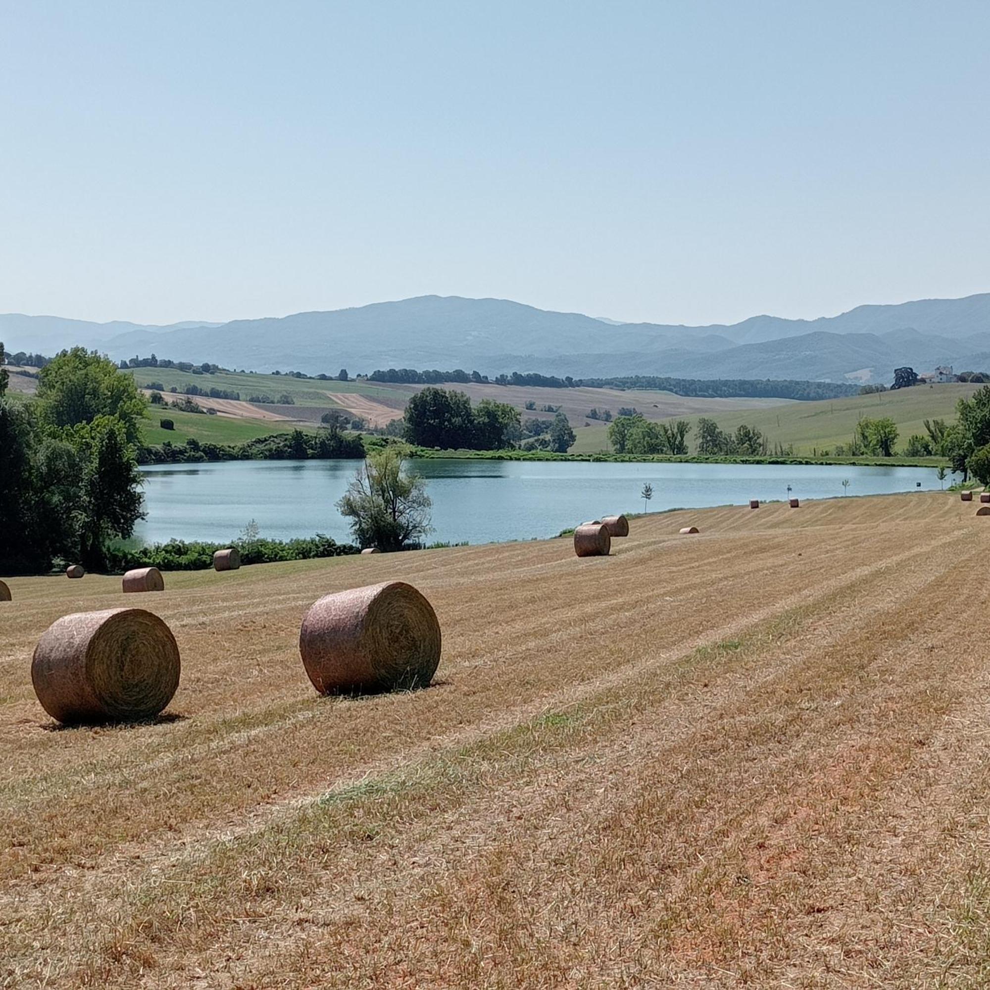 Il Marrondindo Bed & Breakfast Galliano Exterior photo